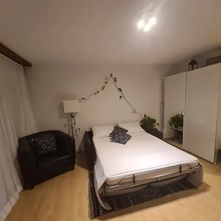 Cozy In Apartment Zurich
